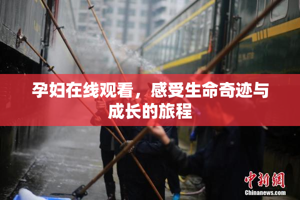 孕妇在线观看，感受生命奇迹与成长的旅程