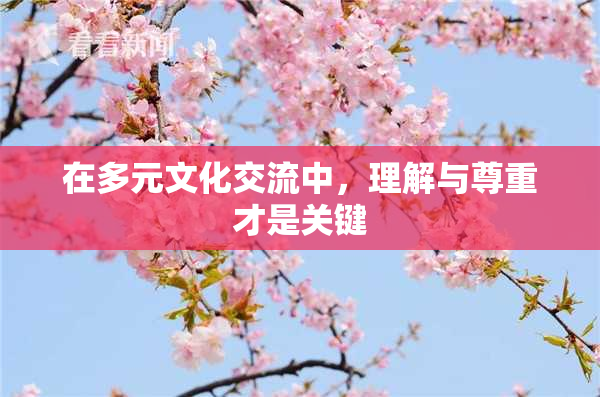在多元文化交流中，理解与尊重才是关键