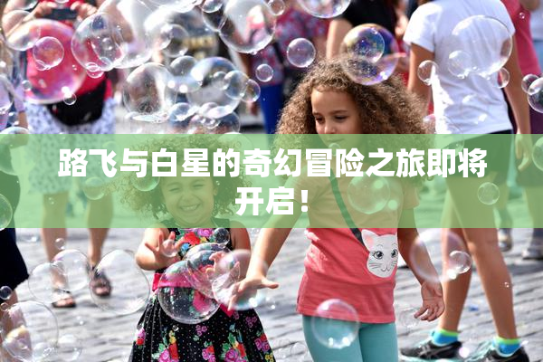 路飞与白星的奇幻冒险之旅即将开启！