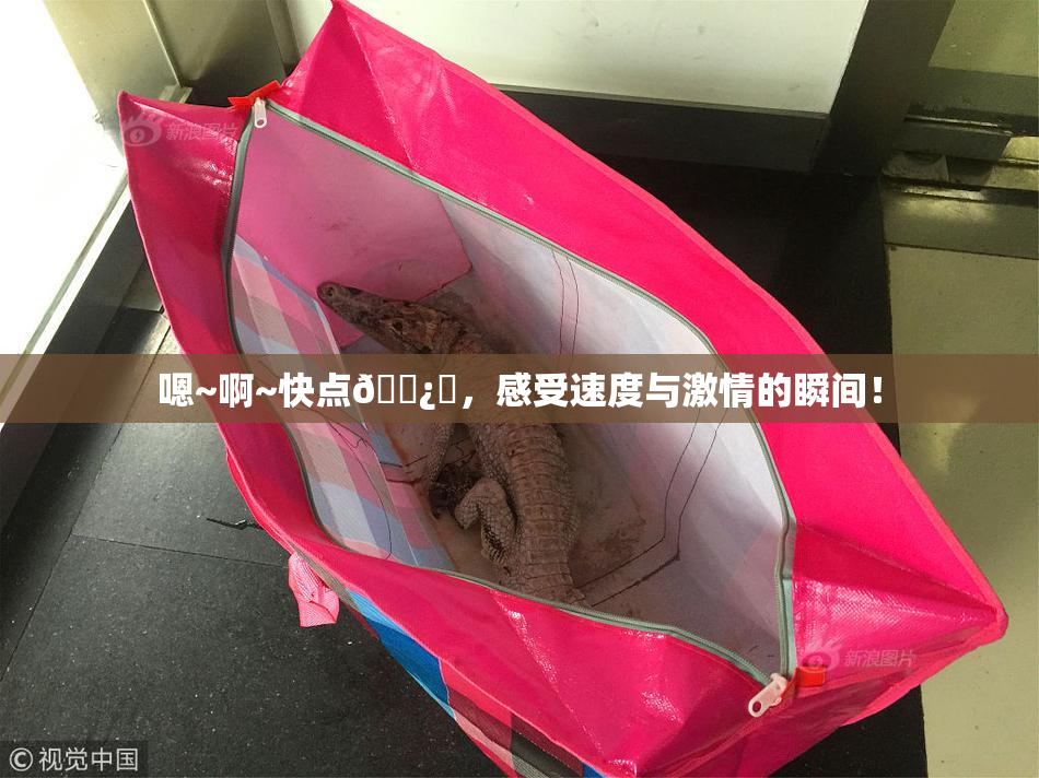 嗯~啊~快点🌿‌，感受速度与激情的瞬间！