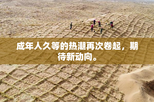 成年人久等的热潮再次卷起，期待新动向。