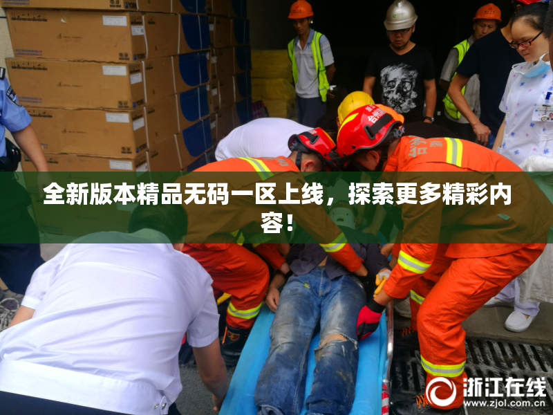 全新版本精品无码一区上线，探索更多精彩内容！