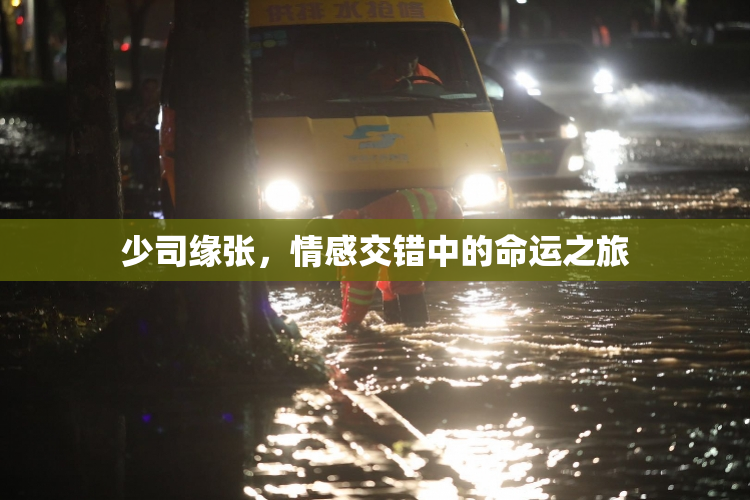 少司缘张，情感交错中的命运之旅