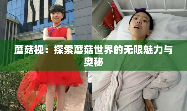 蘑菇视：探索蘑菇世界的无限魅力与奥秘