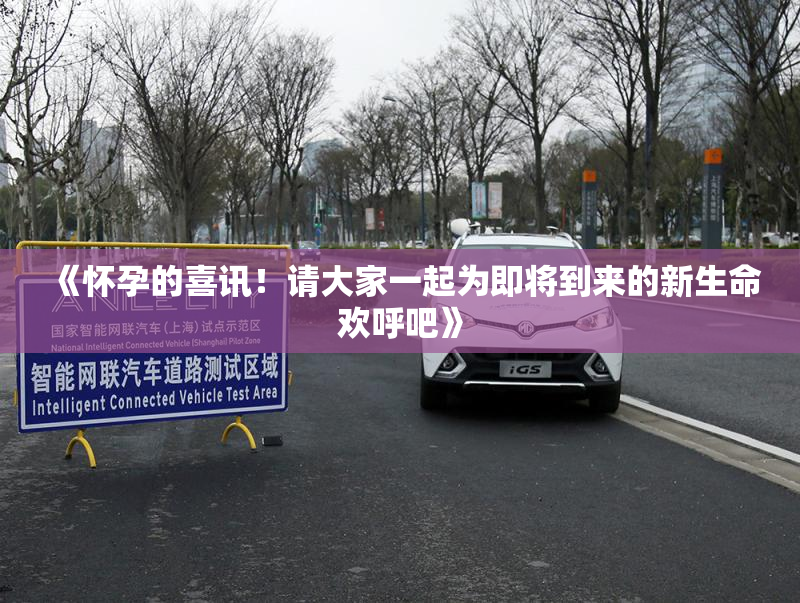 《怀孕的喜讯！请大家一起为即将到来的新生命欢呼吧》