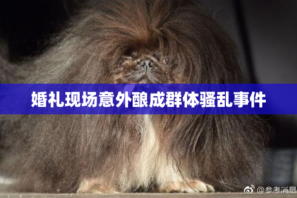婚礼现场意外酿成群体骚乱事件