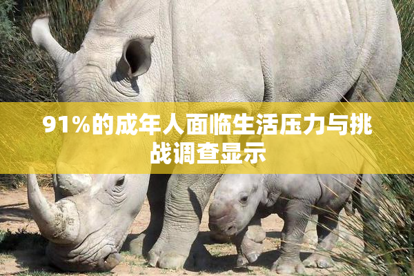 91%的成年人面临生活压力与挑战调查显示