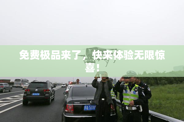 免费极品来了，快来体验无限惊喜！