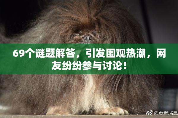 69个谜题解答，引发围观热潮，网友纷纷参与讨论！