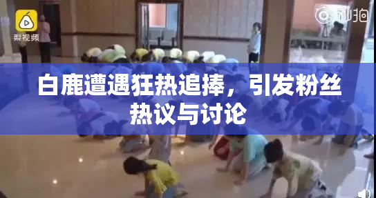 白鹿遭遇狂热追捧，引发粉丝热议与讨论