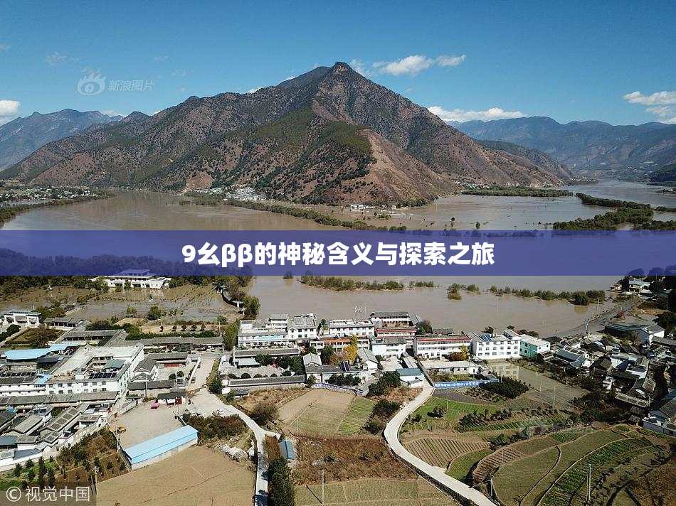 9幺ββ的神秘含义与探索之旅