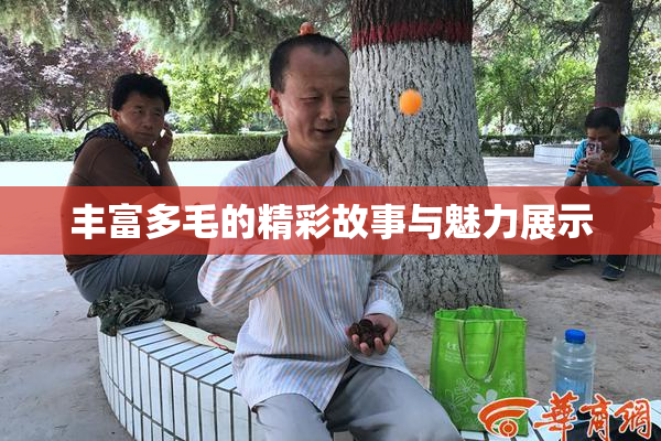 丰富多毛的精彩故事与魅力展示