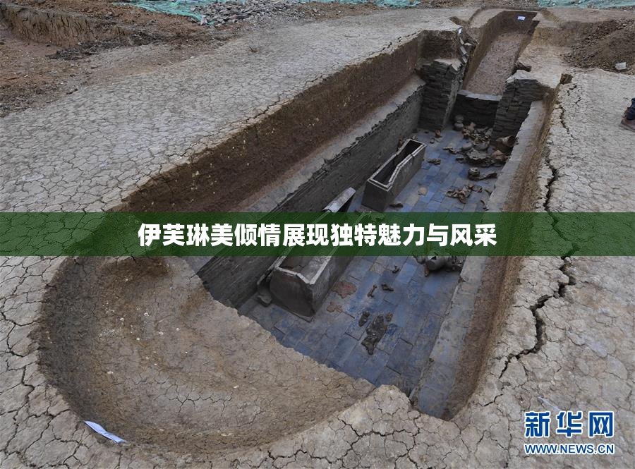 伊芙琳美倾情展现独特魅力与风采