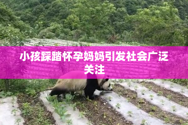 小孩踩踏怀孕妈妈引发社会广泛关注