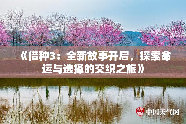 《借种3：全新故事开启，探索命运与选择的交织之旅》