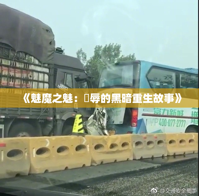 《魅魔之魅：婬辱的黑暗重生故事》