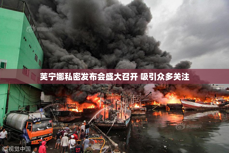 芙宁娜私密发布会盛大召开 吸引众多关注