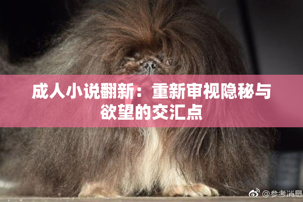 成人小说翻新：重新审视隐秘与欲望的交汇点