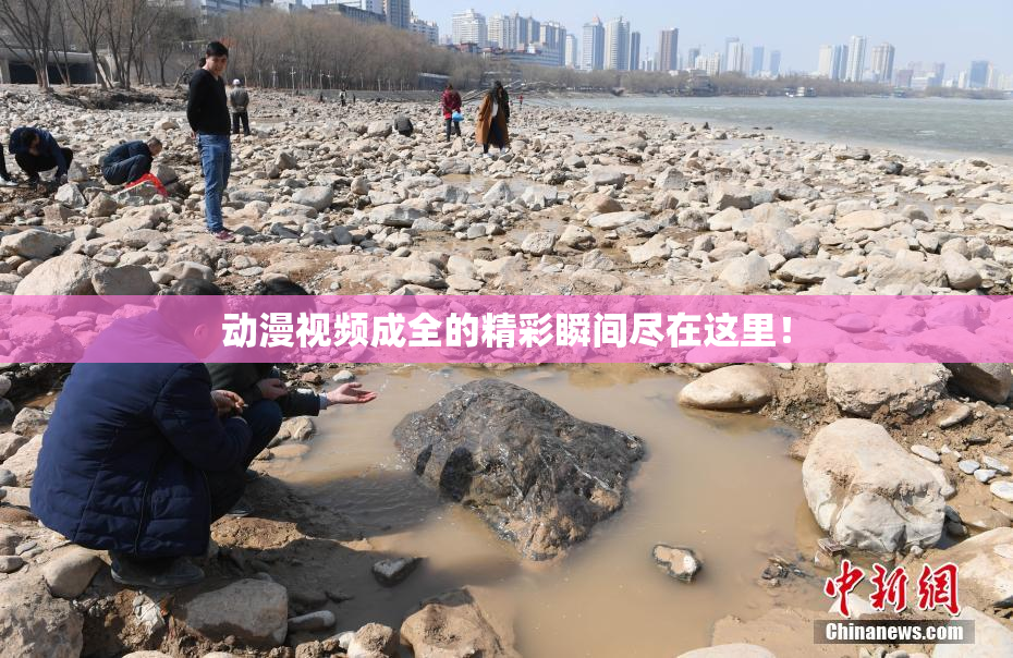 动漫视频成全的精彩瞬间尽在这里！