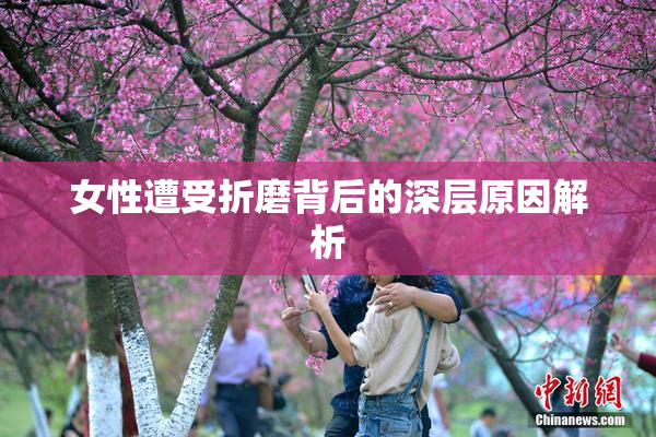 女性遭受折磨背后的深层原因解析
