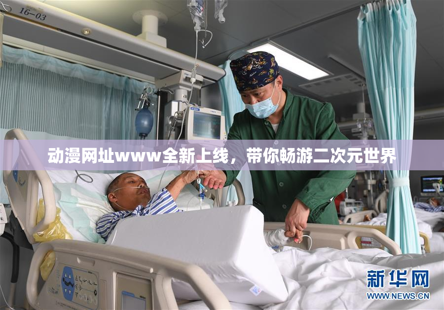 动漫网址www全新上线，带你畅游二次元世界
