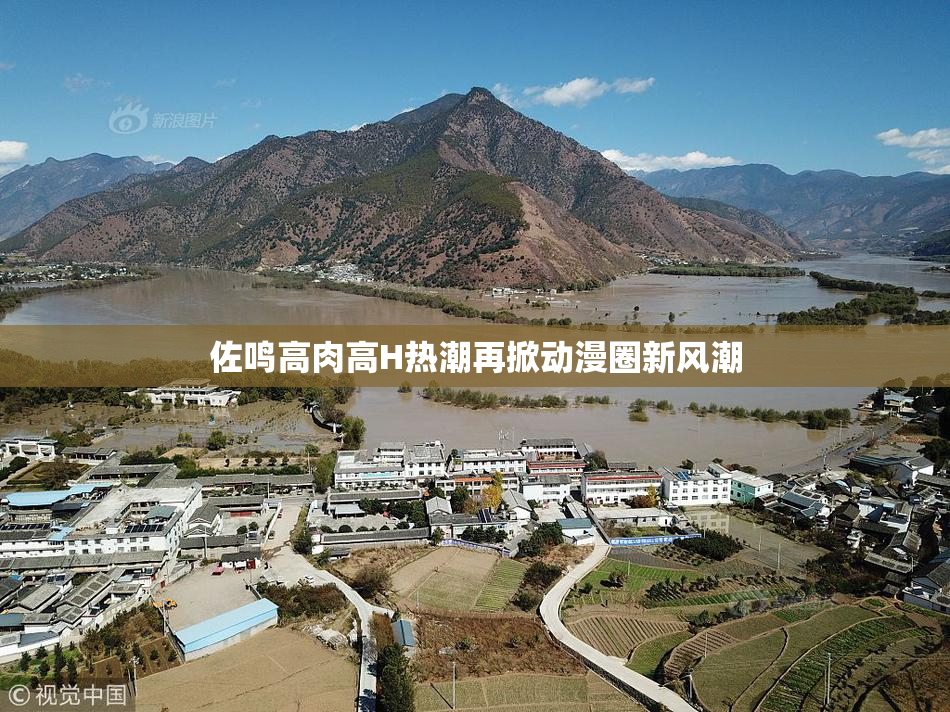 佐鸣高肉高H热潮再掀动漫圈新风潮