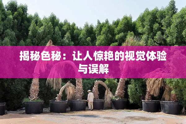 揭秘色秘：让人惊艳的视觉体验与误解