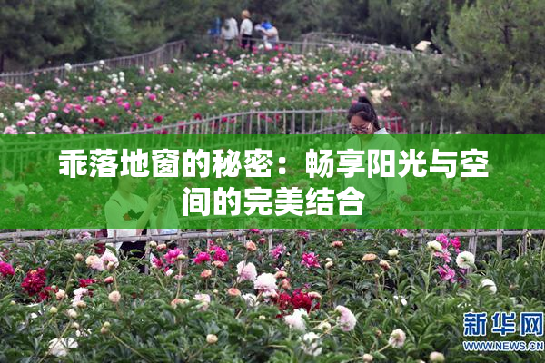 乖落地窗的秘密：畅享阳光与空间的完美结合