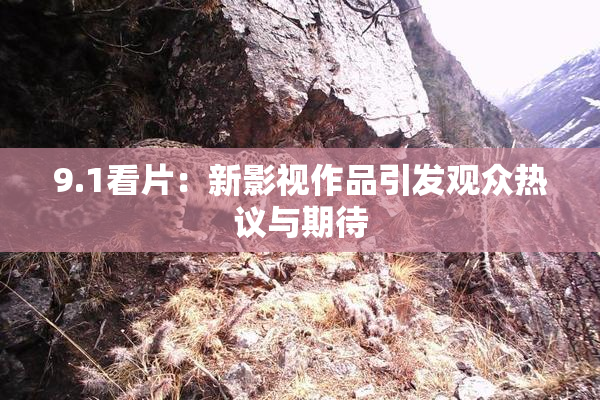 9.1看片：新影视作品引发观众热议与期待