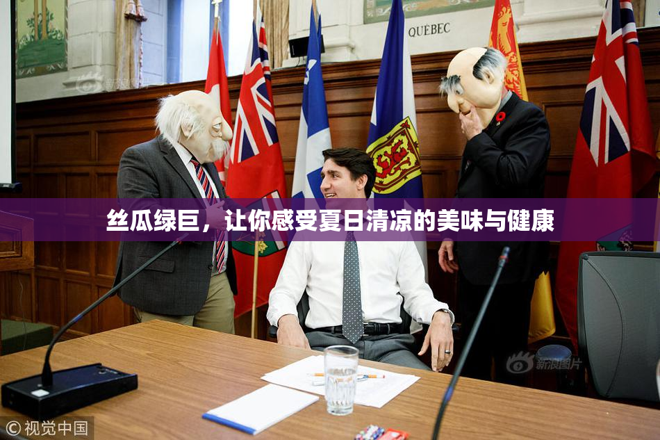 丝瓜绿巨，让你感受夏日清凉的美味与健康