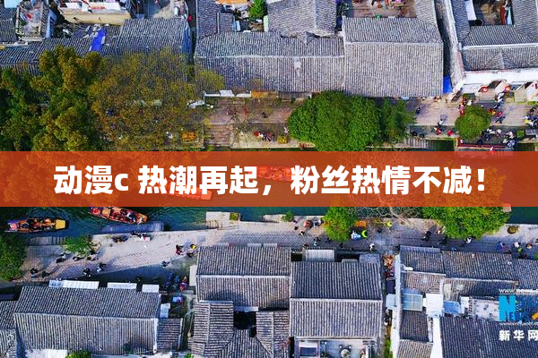 动漫c 热潮再起，粉丝热情不减！