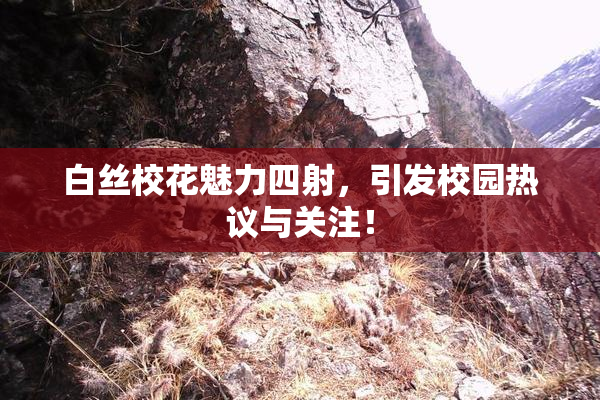 白丝校花魅力四射，引发校园热议与关注！