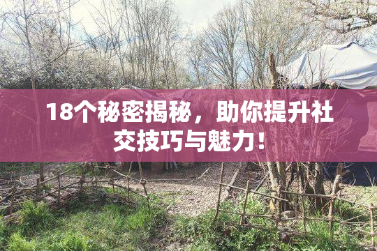 18个秘密揭秘，助你提升社交技巧与魅力！
