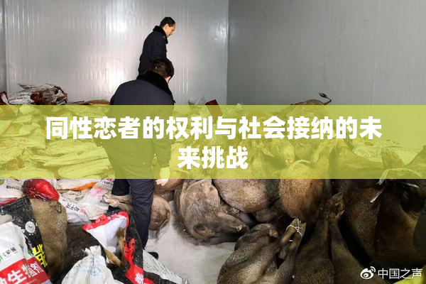 同性恋者的权利与社会接纳的未来挑战