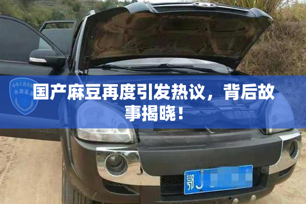 国产麻豆再度引发热议，背后故事揭晓！