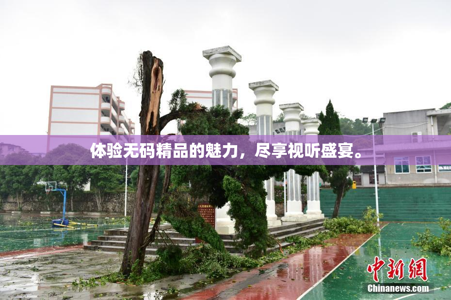 体验无码精品的魅力，尽享视听盛宴。