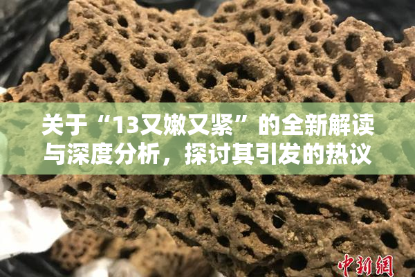 关于“13又嫩又紧”的全新解读与深度分析，探讨其引发的热议话题！