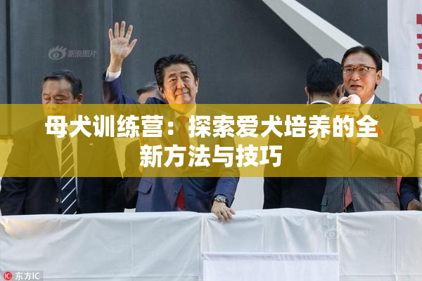 母犬训练营：探索爱犬培养的全新方法与技巧