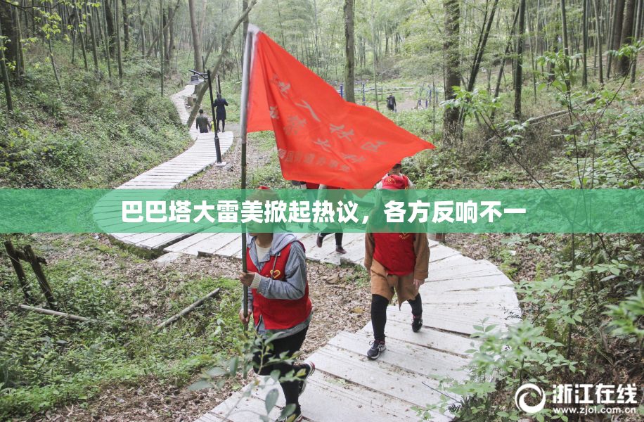 巴巴塔大雷美掀起热议，各方反响不一