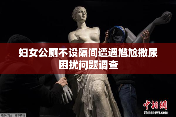 妇女公厕不设隔间遭遇尴尬撒尿困扰问题调查