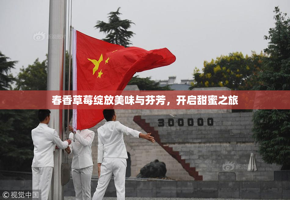 春香草莓绽放美味与芬芳，开启甜蜜之旅