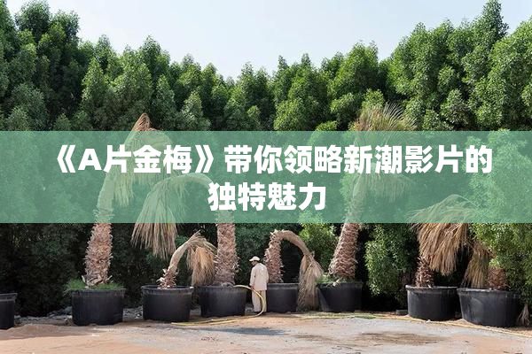 《A片金梅》带你领略新潮影片的独特魅力