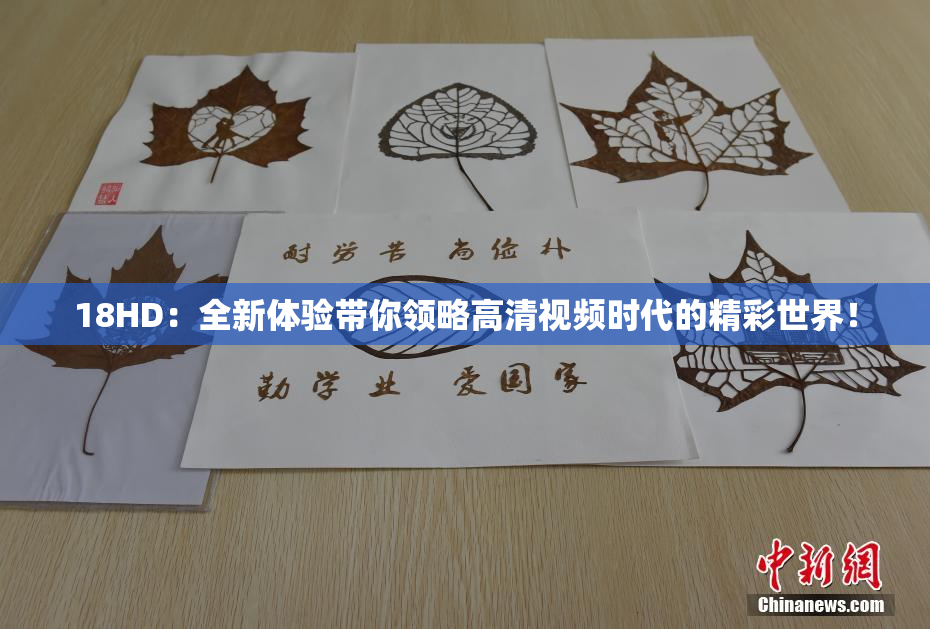 18HD：全新体验带你领略高清视频时代的精彩世界！