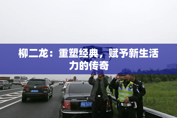 柳二龙：重塑经典，赋予新生活力的传奇
