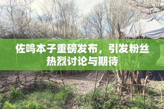 佐鸣本子重磅发布，引发粉丝热烈讨论与期待