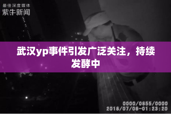 武汉yp事件引发广泛关注，持续发酵中