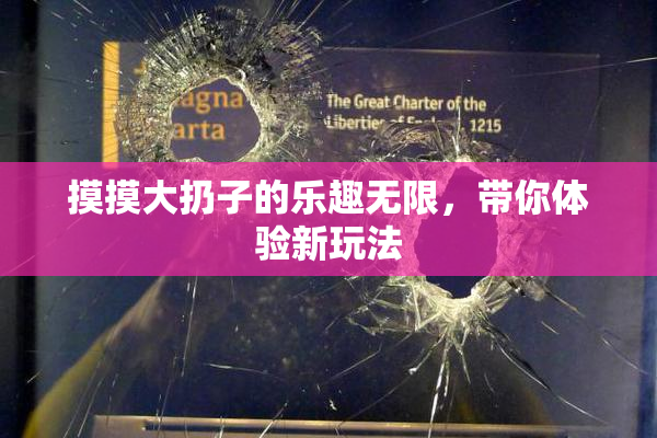 摸摸大扔子的乐趣无限，带你体验新玩法