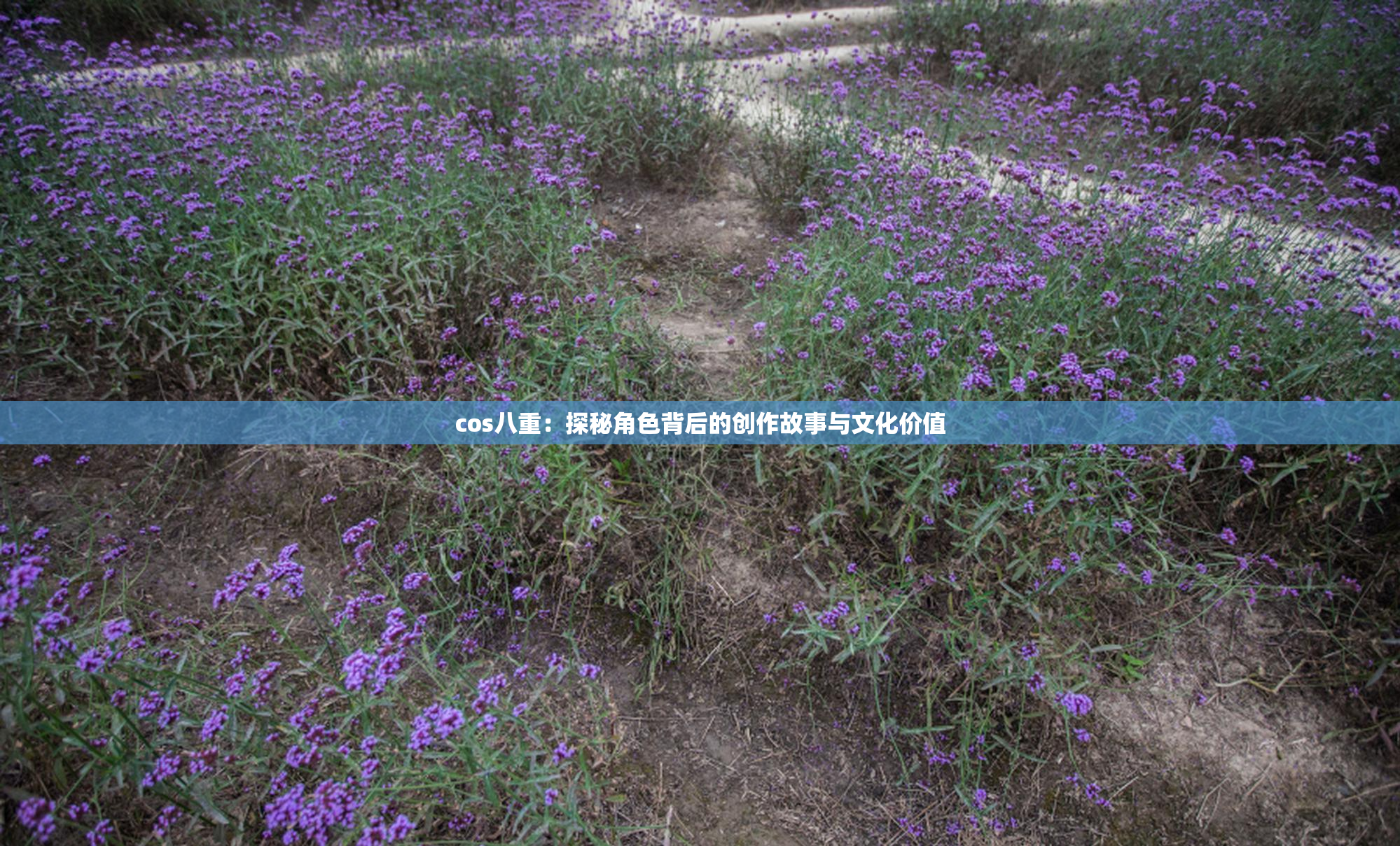 cos八重：探秘角色背后的创作故事与文化价值