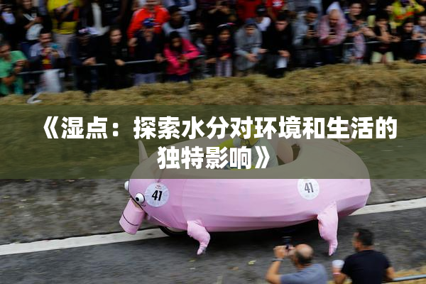 《湿点：探索水分对环境和生活的独特影响》