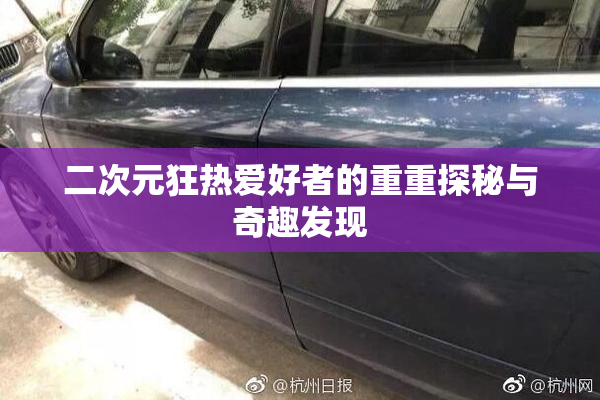 二次元狂热爱好者的重重探秘与奇趣发现